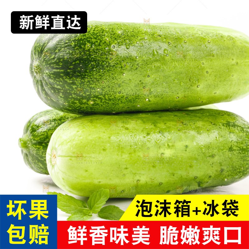 白底上放着新鲜旱黄瓜