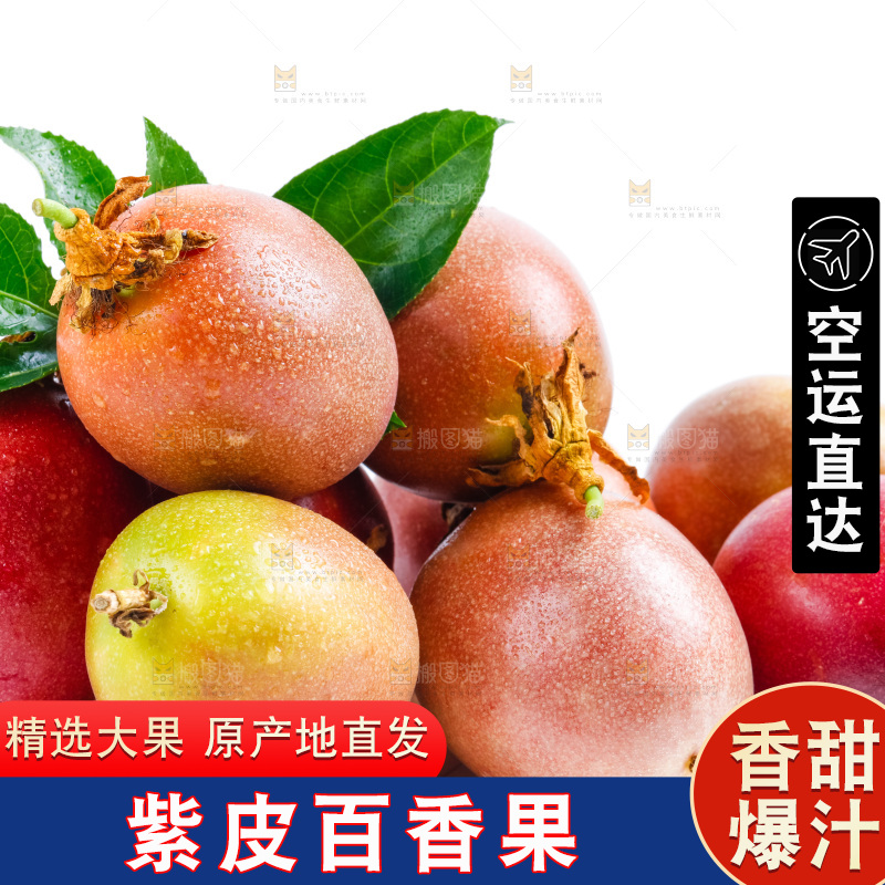 紫皮百香果放在浅底上