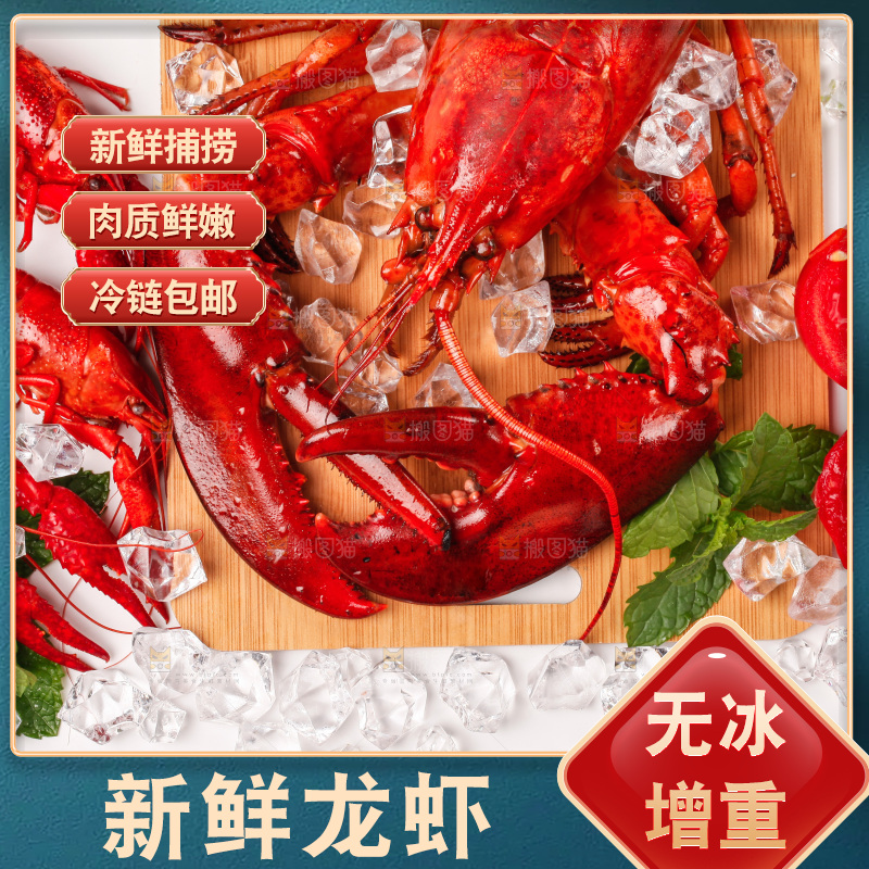 白底上的大龙虾