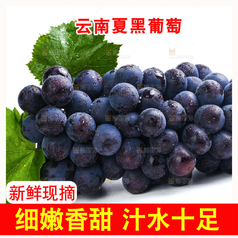 白底上的夏黑