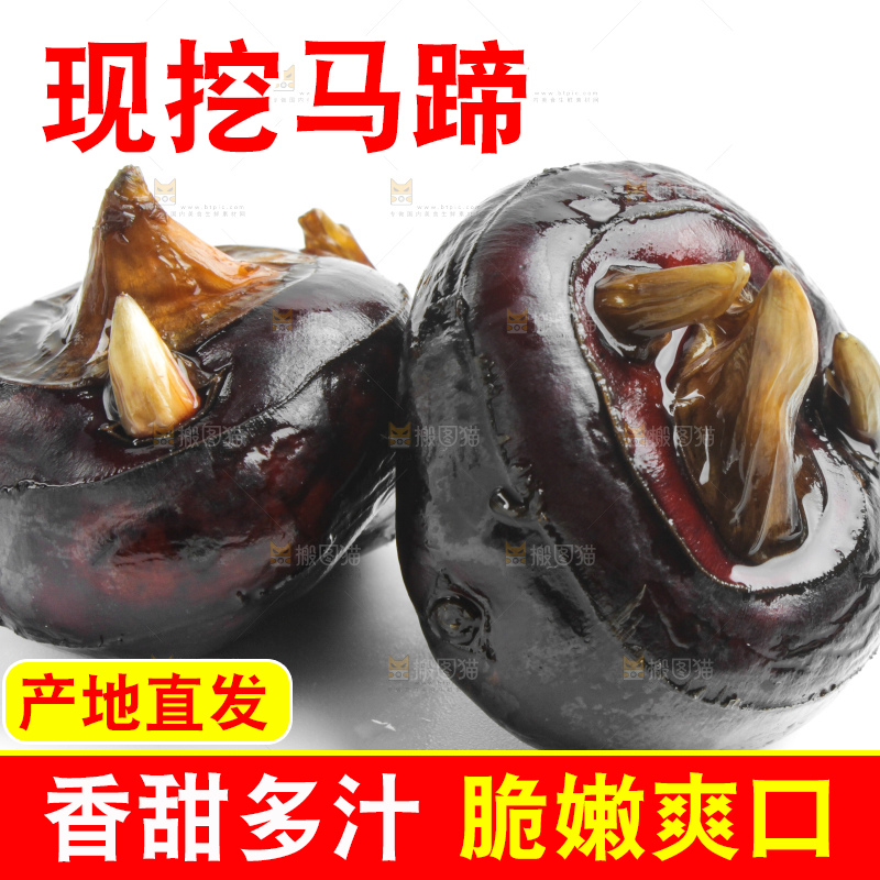 白底上摆放着广西荔浦马蹄