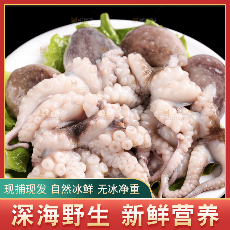 黑底上放着大连章鱼