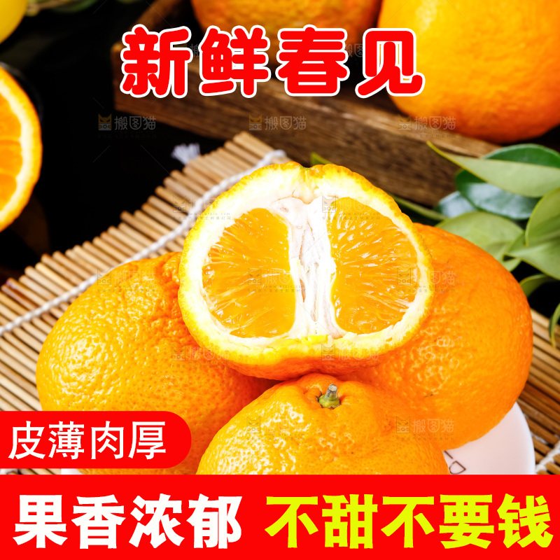 盘子里装着四川春见耙耙柑
