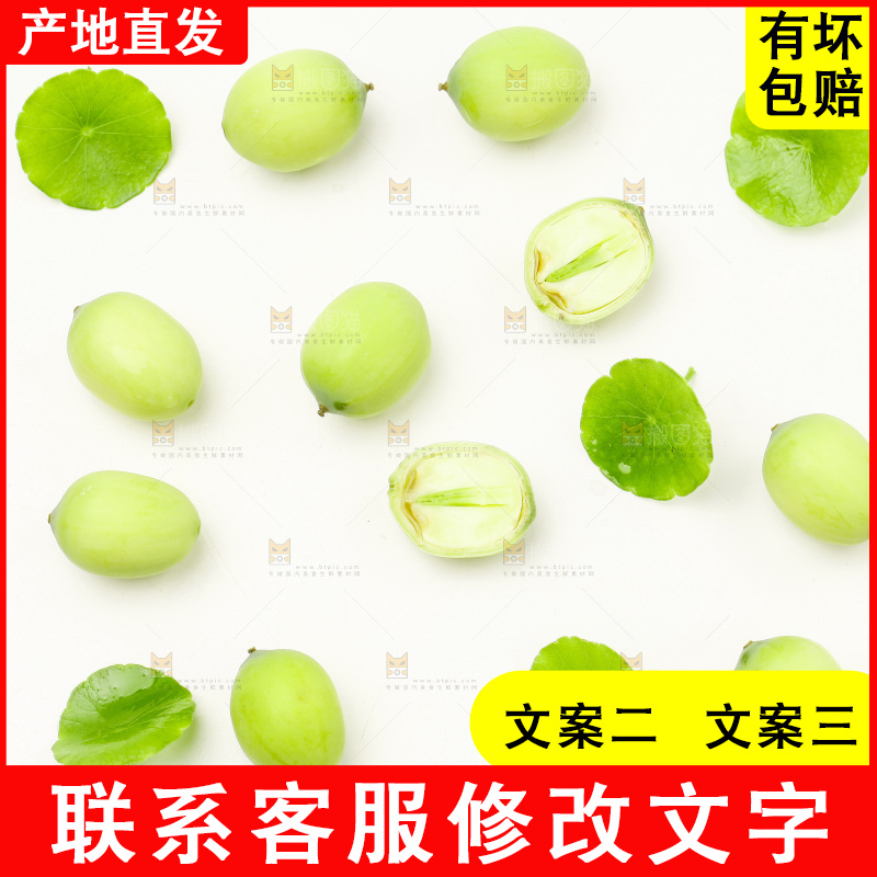 浅底上的新鲜莲子