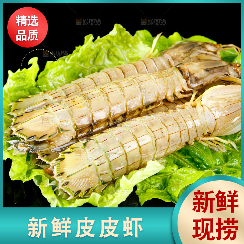 黑底上摆放着舟山皮皮虾