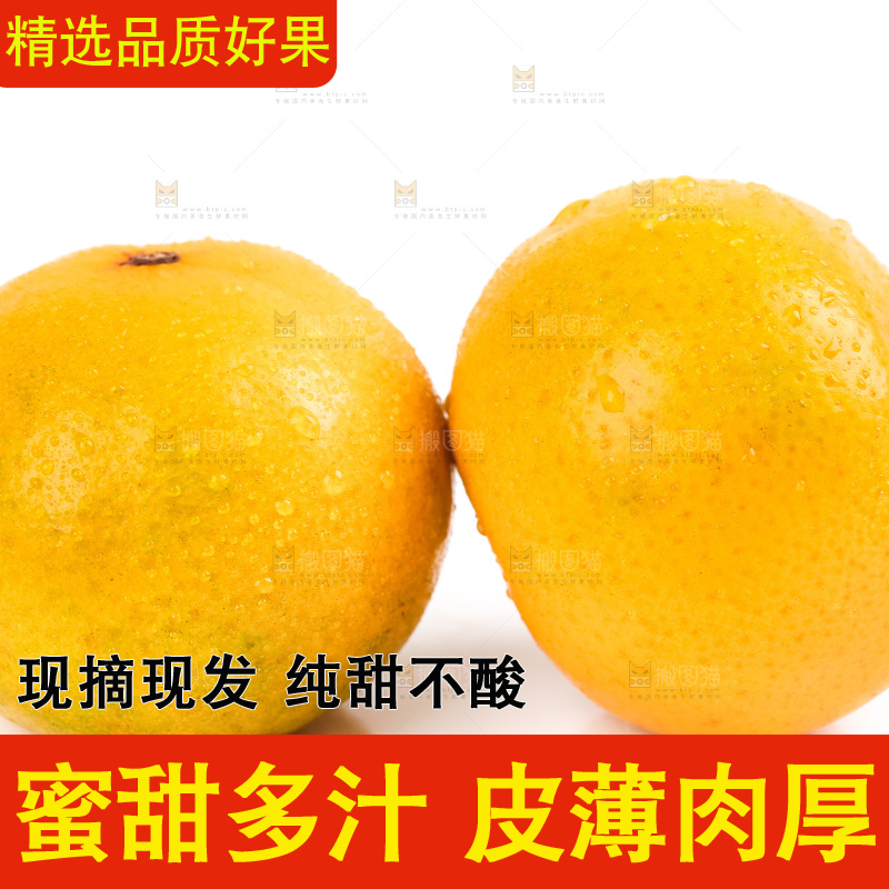 白底上的皇帝柑