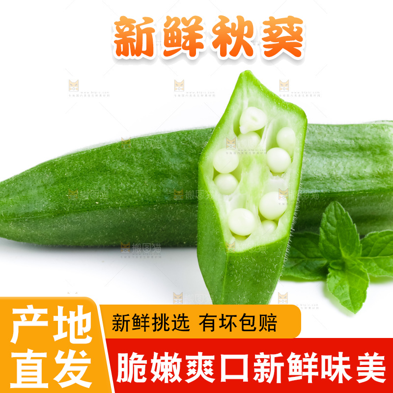 白底上的新鲜秋葵