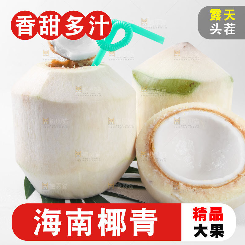 白底上青椰子
