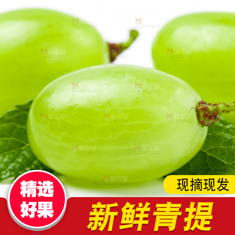 白底上放着新鲜青提