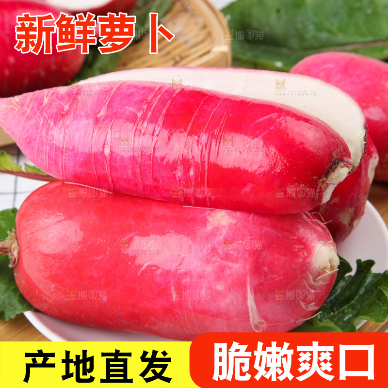 格子底上的红萝卜