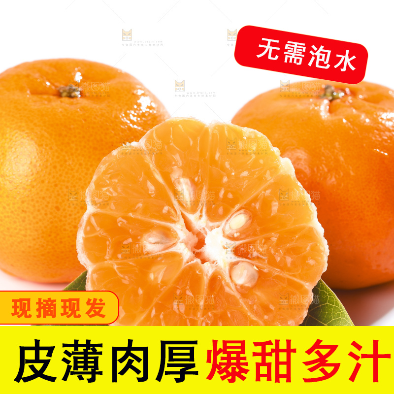 白底上的芦柑