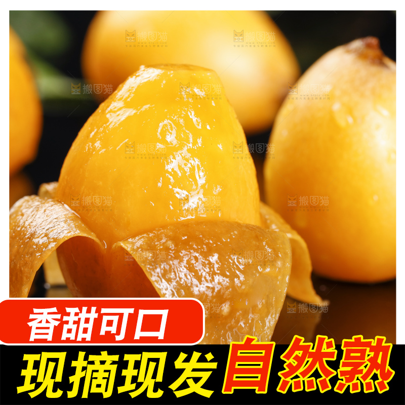 黑底上的米易枇杷