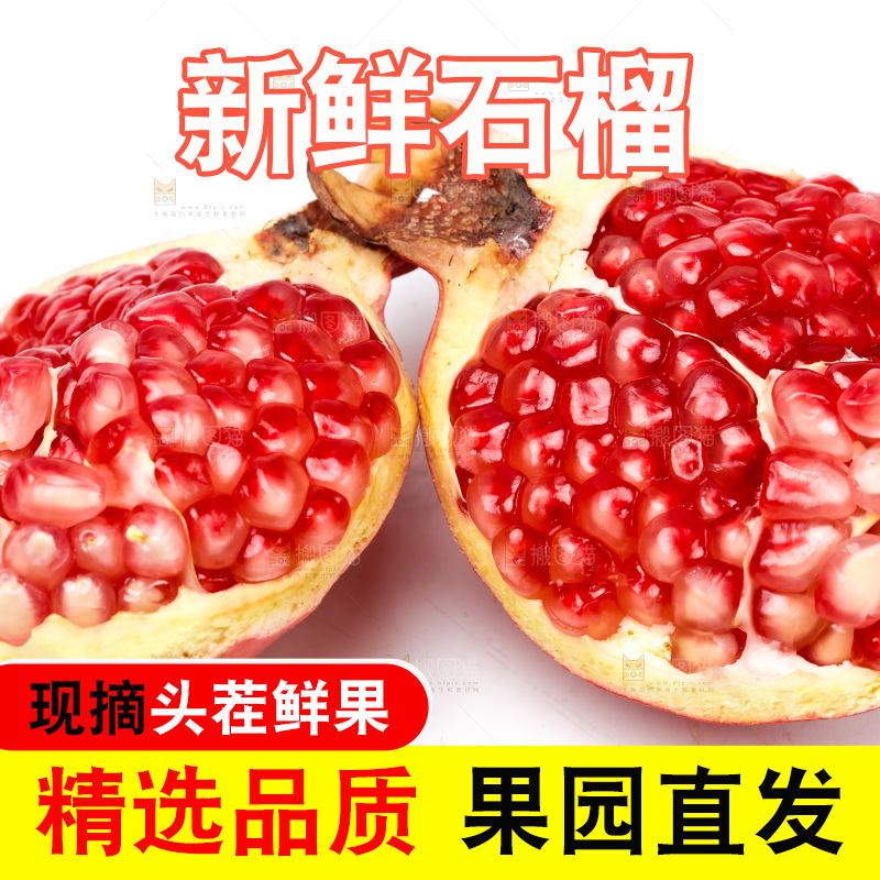 白底上放着软籽石榴