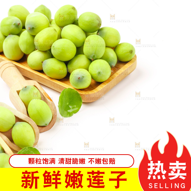 白底上放着嫩莲子