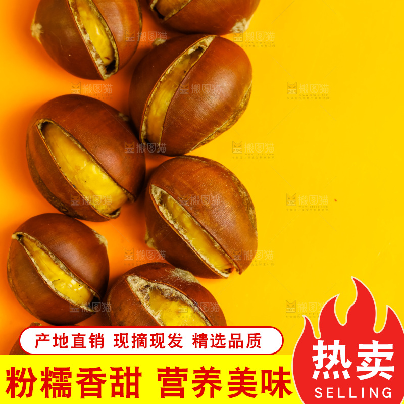 黄底上的迁西板栗