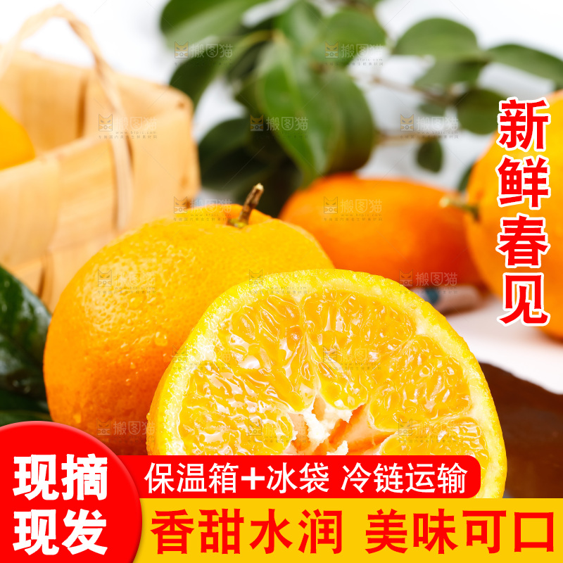 黑石板上的春见耙耙柑