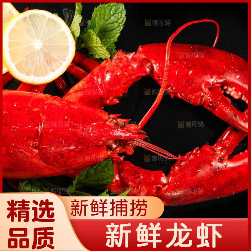 黑底上放着波士顿大龙虾