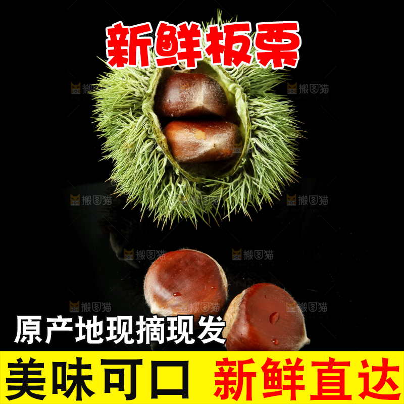 黑底上放着迁西板栗