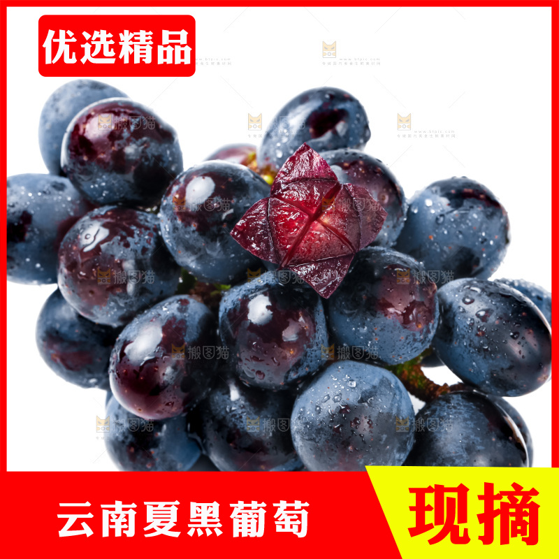 白底上的夏黑葡萄