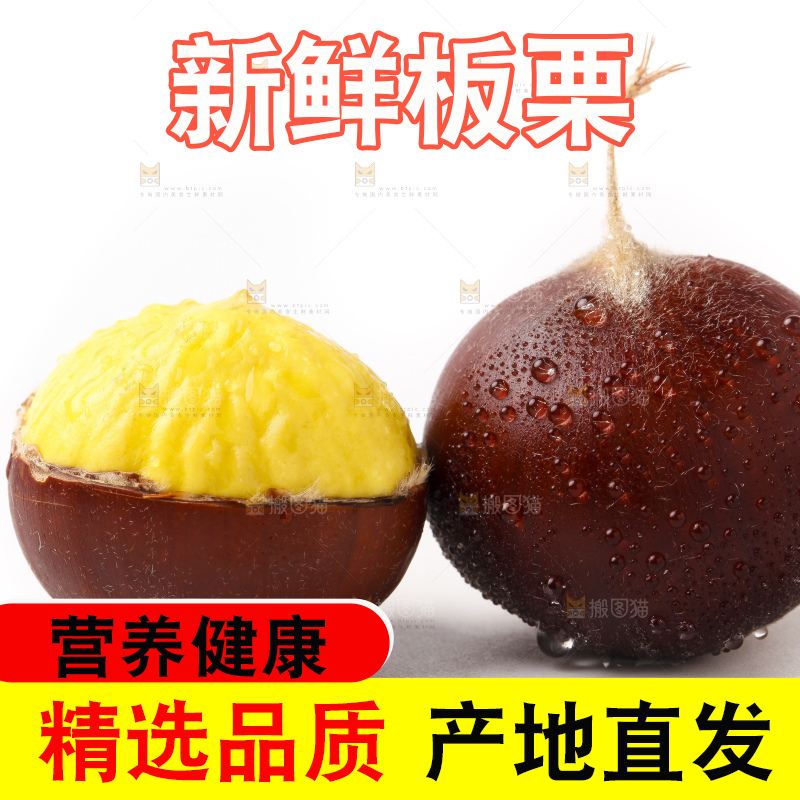 浅底上的迁西板栗