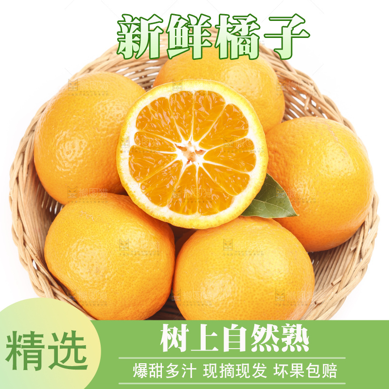篮子里装着丑橘