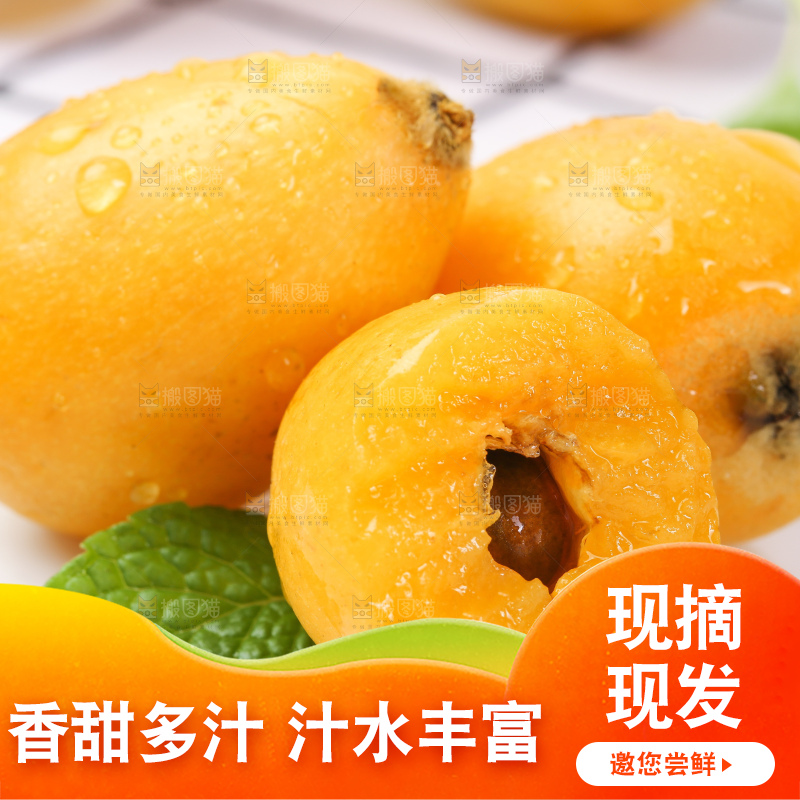白格子底上的云南蒙自枇杷