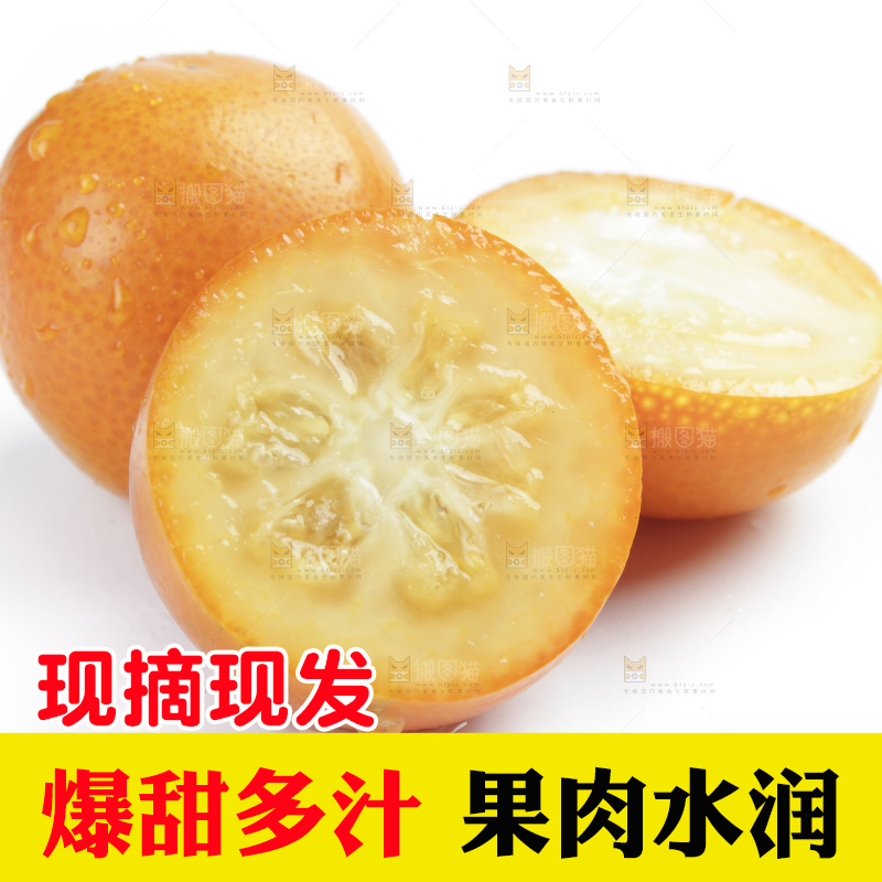 白底上的金钱橘