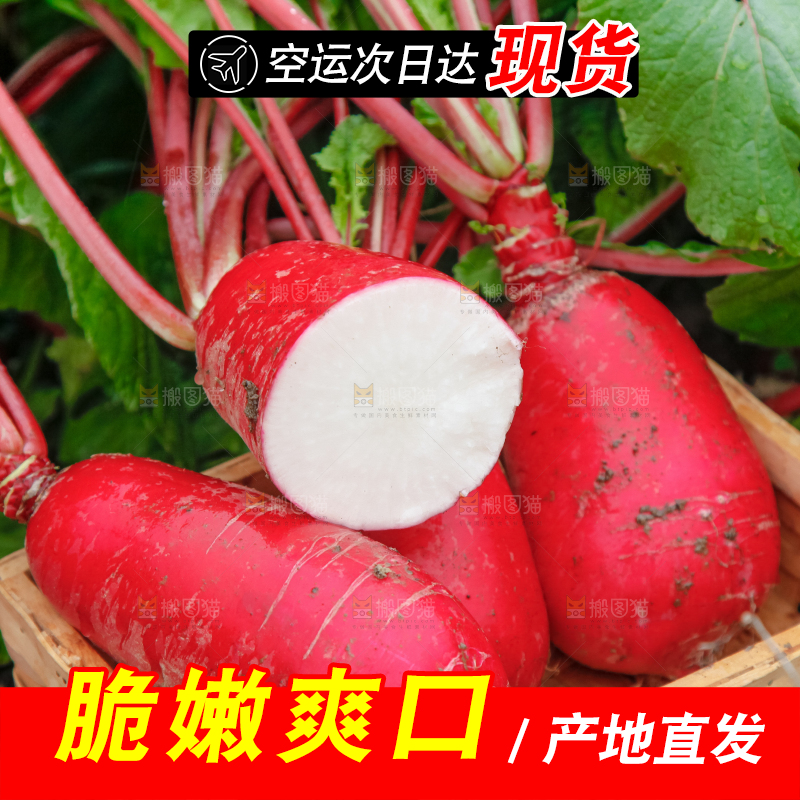 篮子里装着红萝卜