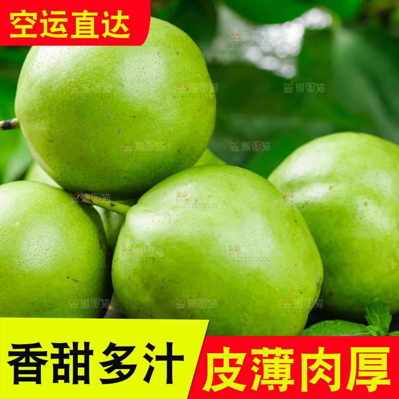 陕西早酥梨放在木底上