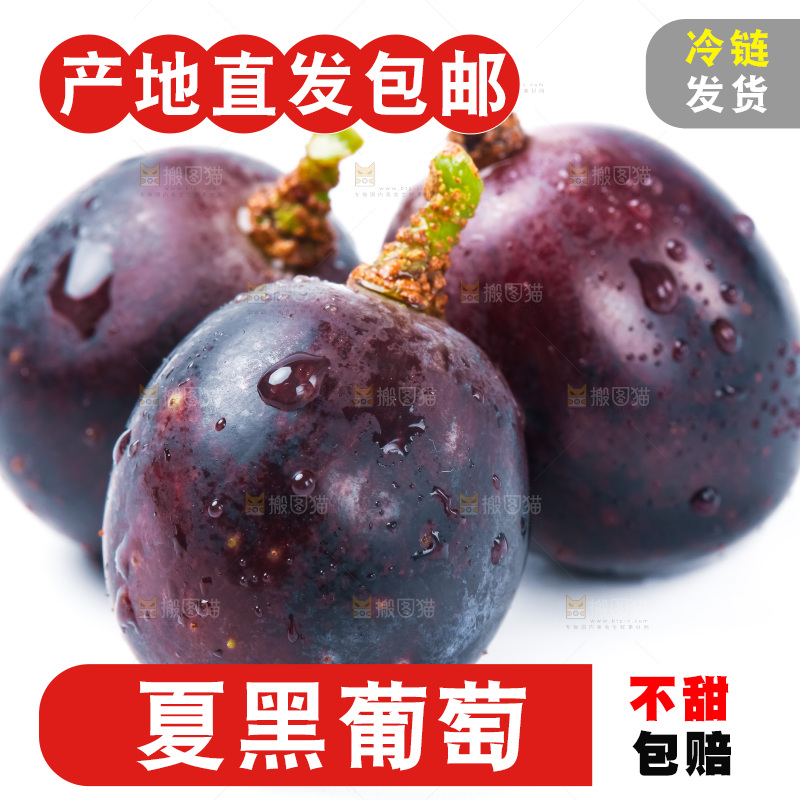 白底上放着云南夏黑葡萄