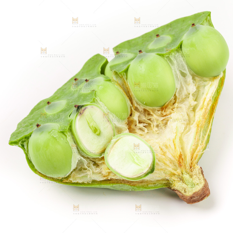 白底上的水果莲蓬