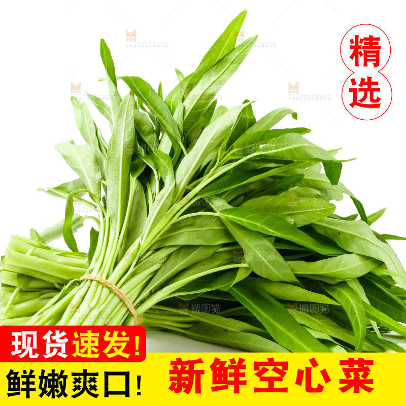 白底上放着空心菜