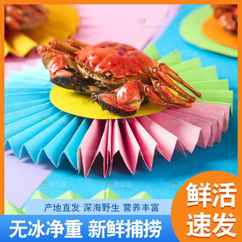 彩底上的螃蟹