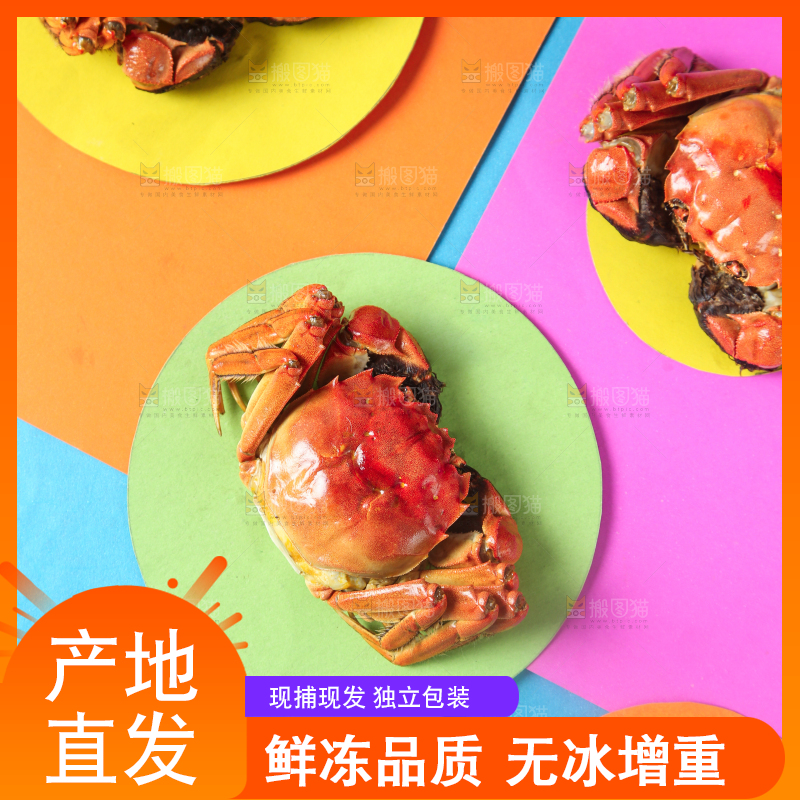 彩底上的螃蟹