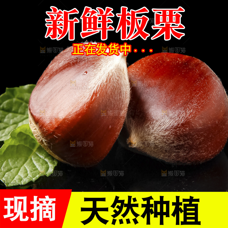黑底上放着迁西板栗
