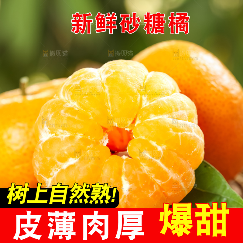 篮子里装着广西砂糖橘
