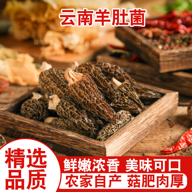 木底上的干羊肚菌