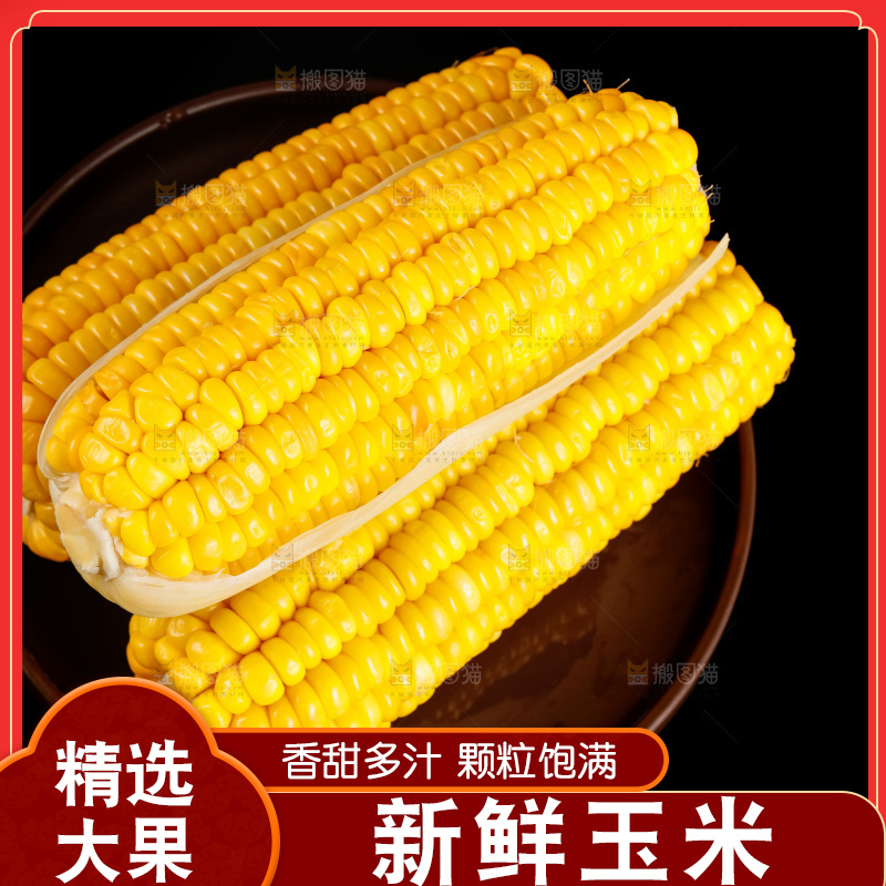 深底上的东北玉米