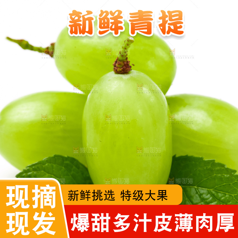 白底上放着新鲜青提