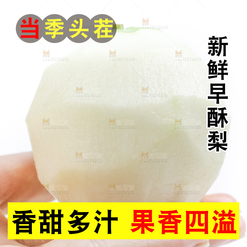 手拿削皮的陕西早酥梨