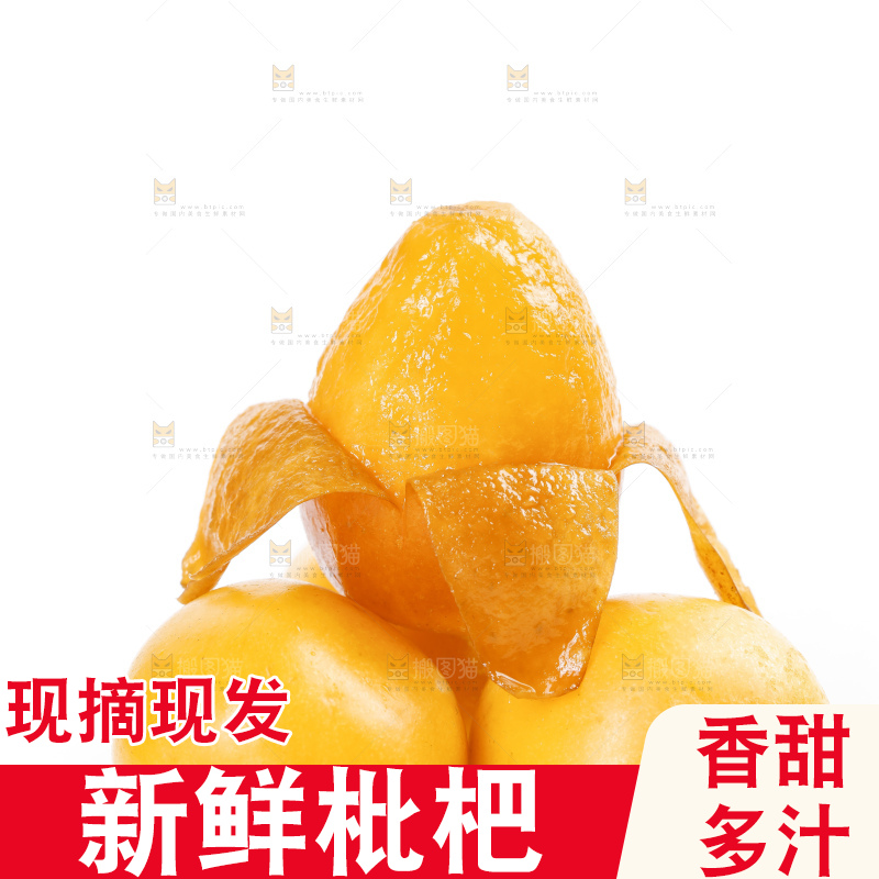 白底上的米易枇杷