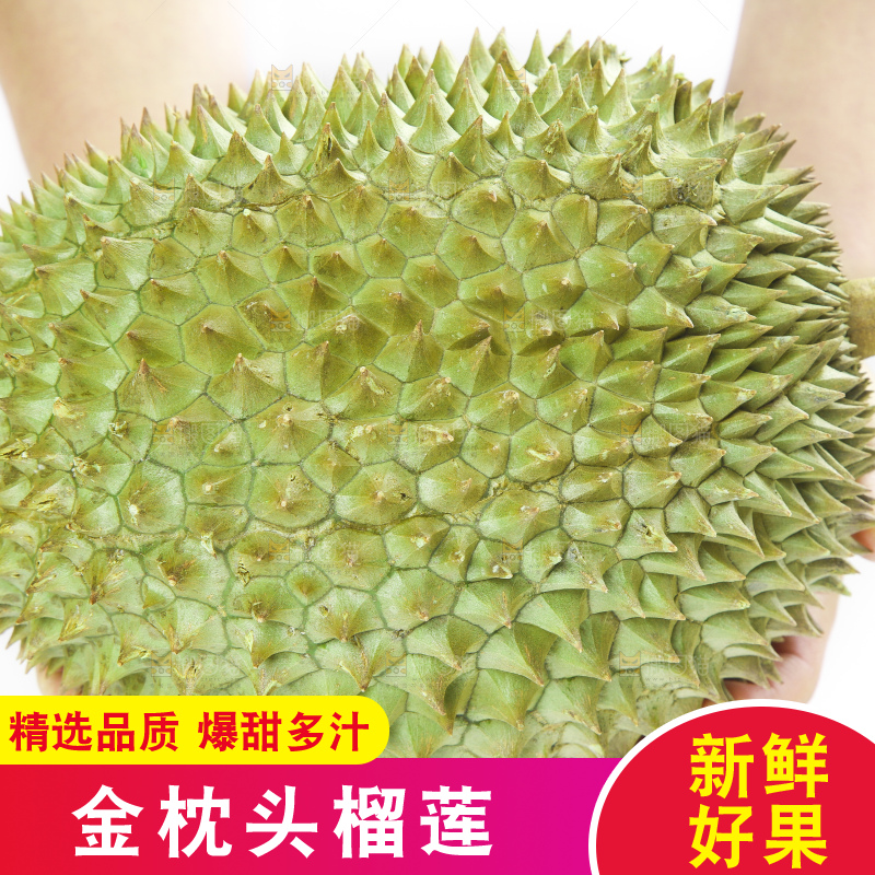 白底上放着泰国金枕榴莲