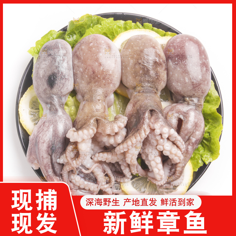 盘子里的大连章鱼