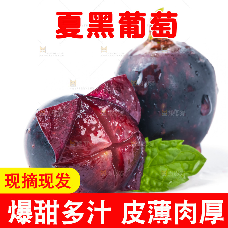 夏黑葡萄放在白底上