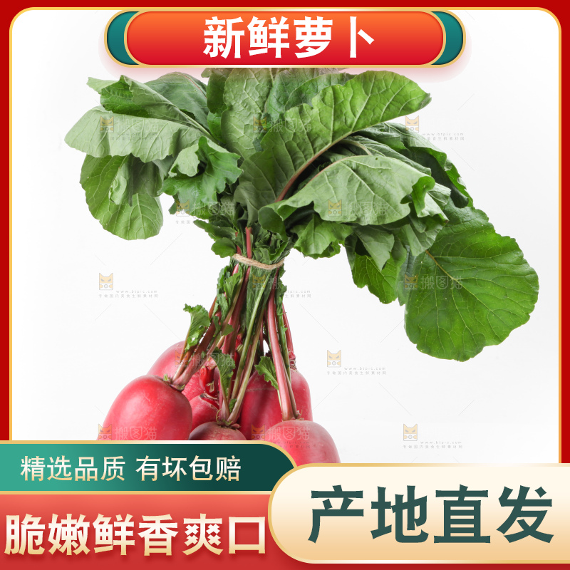 白底上的红萝卜