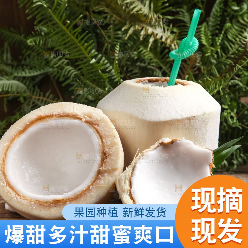 木底上放着泰国椰子