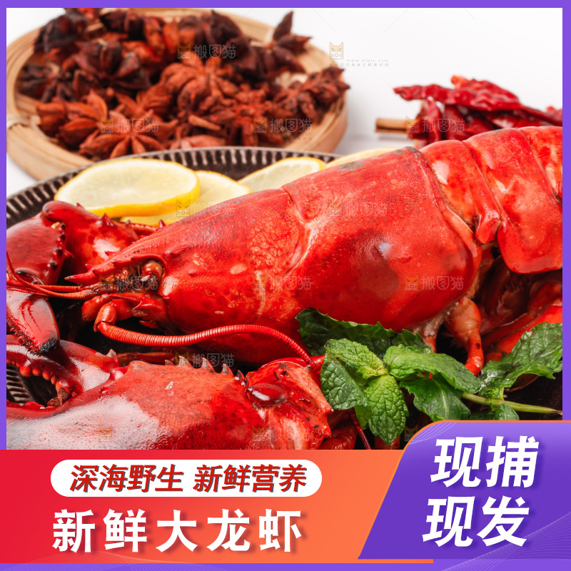 白底上放着一盘波士顿大龙虾