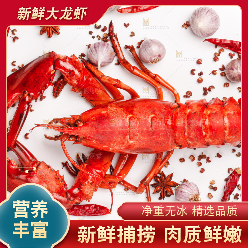 白底上放着波士顿大龙虾