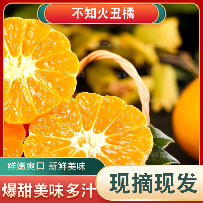 篮子里装着四川丑柑