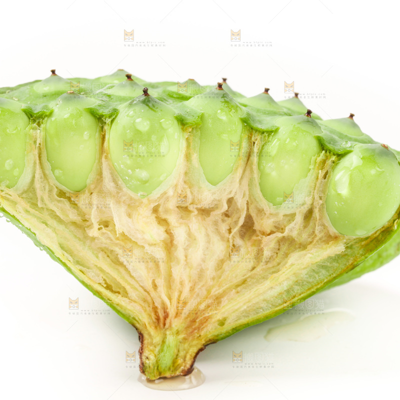湖北莲蓬放在白底上